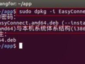 Ubuntu系统安装easyconnect失败怎么办?
