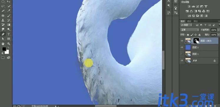 1628157316210061