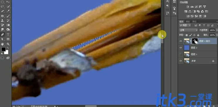 1628157335558438