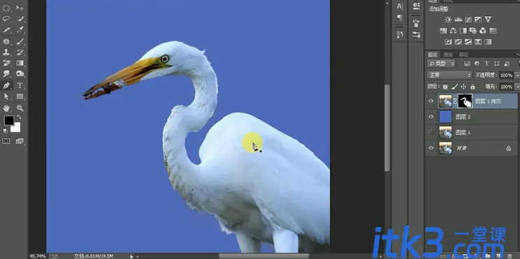 1628157359706446
