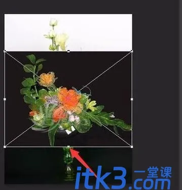 44e6138f42d1854582fd32eec0d796c0