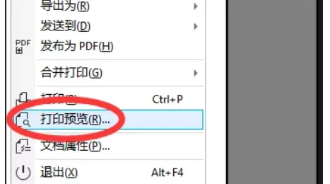 cdr预览如何设置？-3