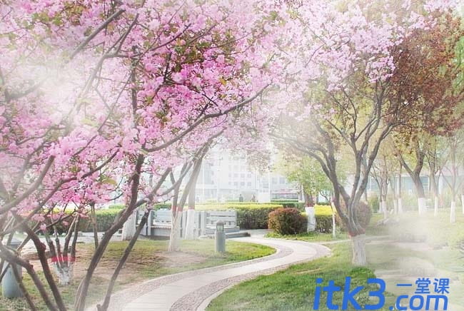 ps烟雾效果怎么做?-10