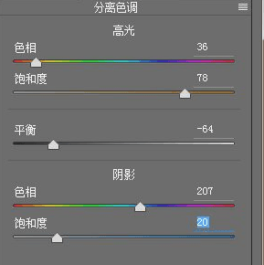 lightroom怎么进行高级调色？lightroom高级调色教程-6