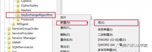 CATIA许可证都是灰色不可选的解决方法-6