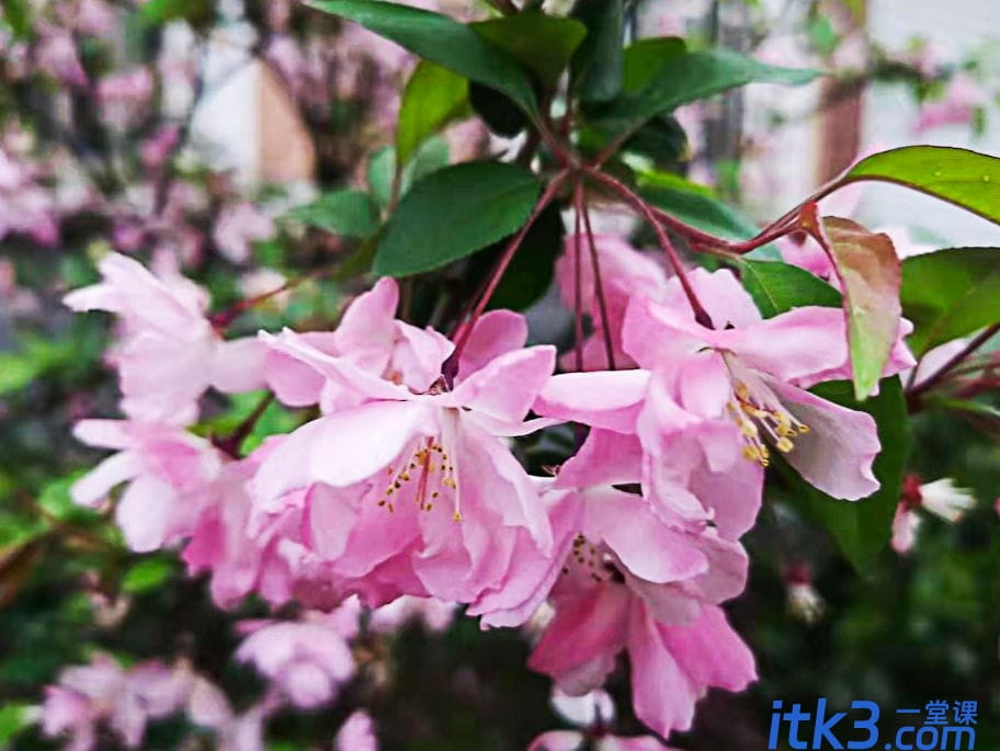 ps怎么让模糊的照片变清晰？ps低像素图片转成高清-15